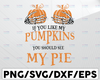 If You Like My Pumpkins You Should See My Pie Svg, Halloween Svg, Like My Pumpkin, See My Pie,Thanksgiving Svg, Halloween