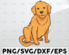 Goldie, Golden Retriever, SVG, Digital Download, dog lover, Pet, Paw, portrait, Cricut, Clipart, Printable, vector, png, dxf