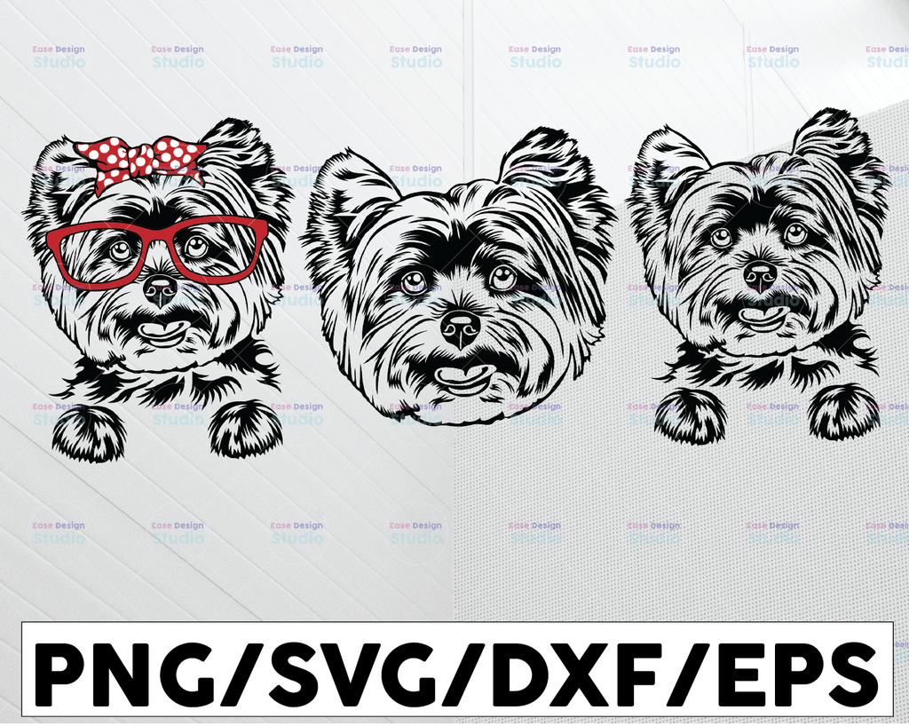 Yorkshire Terrier SVG, Dog svg files cricut, cute Yorkie face clipart, vector image peeking, Download printable art png, breed dxf cut file