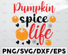 Thanksgiving Fall SVG, Pumpkin Pie svg png jpeg dxf, Silhouette Cricut, Thanksgiving T shirt design, Vinyl Cut File, Fall Autumn