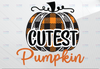 Cutest Pumpkin In The Patch PNG, Pumpkin Png, Thanksgiving, Fall, Sublimation Design Downloads