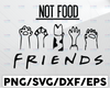 Friends Not Food SVG, Funny Animals Svg, Vegan Presents Svg, Herbivore Svg, Vegetarian Svg, Meat Free Bumper Svg, Animal Rights Svg