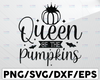 Queen Of The Pumpkins svg, Pumpkin Patch SVG, svg Files for Cutting Machines Cameo Cricut, Girly, Halloween svg, Fall, Thanksgiving