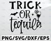 Trick or tequila SVG ,Halloween shirt SVG ,Funny halloween quote svg ,Tequila lover svg Cut file,  ,Bats svg ,Tequila glass