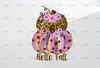 Leopard Print Pumpkin Hello Fall PNG, Autumn Leopard Print Sublimation, Sunflower png, Fall PNG Sublimation, Hello Fall PNG