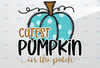 Cutest pumpkin in the patch png, Thanksgiving kids shirt png, fall pumpkin designs, sublimation cute fall shirt kids design