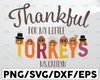 Personalized Name Thankful for my little turkey SVG, Thanksgiving SVG, mommy and me, little turkey svg, eps, dxf, png cutting file, Silhouette, Cricut