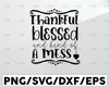 Thankful and Blessed But Kind of a Mess SVg, Thanksgiving Fall SVG, Thanksgiving Svg, Instant Digital Download, Turkey Day svg, Silhouette Cricut