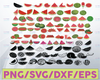 Watermelon Bundle SVG, Summer Svg, Watermelon Svg, Watermelon Slice svg cut files for Cricut Silhouette vinyl