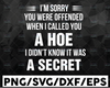 I'm Sorry You Were Offended When I Called You A Hoe I Didn't Know It Was A Secret Funny Gift Svg, Dxf Png Cut File for Cricut, Silhouette