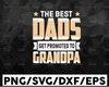 The Best Dads Get Promoted To Papa svg, Promoted To Papa SVG, Grandpa svg, Father's Day svg, Daddy svg, dxf, png, Papa