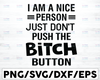 I’m a nice person, Just don’t push my Bitch button Downloadable File,Cut File, SVG File, Cricut, Clipart, Instant Download