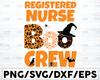 REGISTERED NURSE Boo Crew svg,Halloween Nurse svg, CNA Crew,CNA Crew,Nurse Life,CNA Life,Nursing Assistant,Halloween Pumpkin,Cricut Svg/Png/Pdf/Dxf/Eps