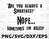 Are You Always A Smartass Nope Sometimes I'm Asleep Funny Sayings Gift For Lazy Men Women Sublimation PNG Files Digital Art