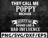 They call me Poppy because partner in crime makes me sound like a bad influence, Father's Day svg, gift, svg , Grandpa svg, png dxf eps