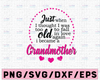Just When I Thought I Was Too Old To Fall In Love Again I Became A Grandmother Svg Dxf Eps Png Silhouette Cricut Cut File