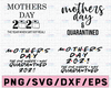 Mothers day svg bundle , 2021 svg, The One Where I was Quarantined, Quarantine Svg, Funny Svg, eps, png, cut file, Cutting Files