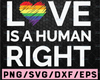 Love Is A Human Right SVG, LGBTQ Pride Svg, Gay Pride Svg, LGBTQ Awareness, Human Rights Svg