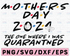 Mothers day svg, 2021 svg, The One Where I was Quarantined, Quarantine Svg, Funny Svg, eps, png, cut file, Cutting Files