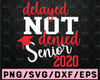 Senior design, delayed not denied, senior 2021 Senior Design, senior svg, senior file, graduation silhouette cricut grad,