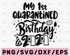 Funny Birthday svg , April Birthday svg , Funny Quarantine, Birthday Gift, Stay Home svg , Quarantine Svg, First Birthday