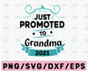 Promoted to Grandma Est 2021 Svg, Funny Quotes Svg png dxf eps