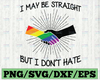 Straight But I Don't Hate Svg / Pride Svg / LGBTQ Svg / Gay Pride Svg / Rainbow Svg / Svg files for Cricut / Silhouette Files