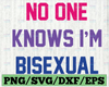 No One Knows I'm Bisexual SVG, LGBT Pride Svg, LGBT Svg, Cricut Design, Digital Cut Files