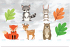 Woodland Animals Clipart, Bear, Fox, Bunny Rabbit, Raccoon, Deer Clip Art, Spring Forest Animals Illustration Clipart Clip Art