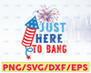 Just Here To Bang SVG 4th Of July Flag Fireworks Firecrackers Independence Day Cut File PNG JPG Vector