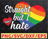 Straight but I don't hate svg  vector design, sign gay pride idea gift, PNG high resolution, Dxf, eps, pdf, LGBTQ svg