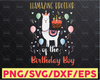 Brother Of Birthday Boy, Llama Birthday Boy, Llama party theme Blue Clues PNG