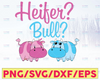 Heifer ? Bull ? Heifer svg, Cow image, Cow Png, Cow cut file, files for cricut, JPEG Watercolor Heifer. Cow  Clipart. Farm and Ranch. Cow. Heifer. Bull.