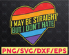 Straight But I Don't Hate Svg / Pride Svg / LGBTQ Svg / Gay Pride Svg / Rainbow Svg / Svg files for Cricut / Silhouette Files