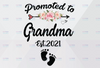Promoted To Grandma Png, Grandma Png, Floral Png, Pregnancy Announcement, New Grandma, Blessed Grandma, Funny Grandma, Mother’s Day 2021 Png