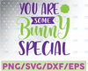 You Are Some Bunny Special Easter Svg Spring Svg Cute Bunny Svg Easter Bunny Svg Easter Shirt Svg Cricut Svg Easter Cut File Easter dxf