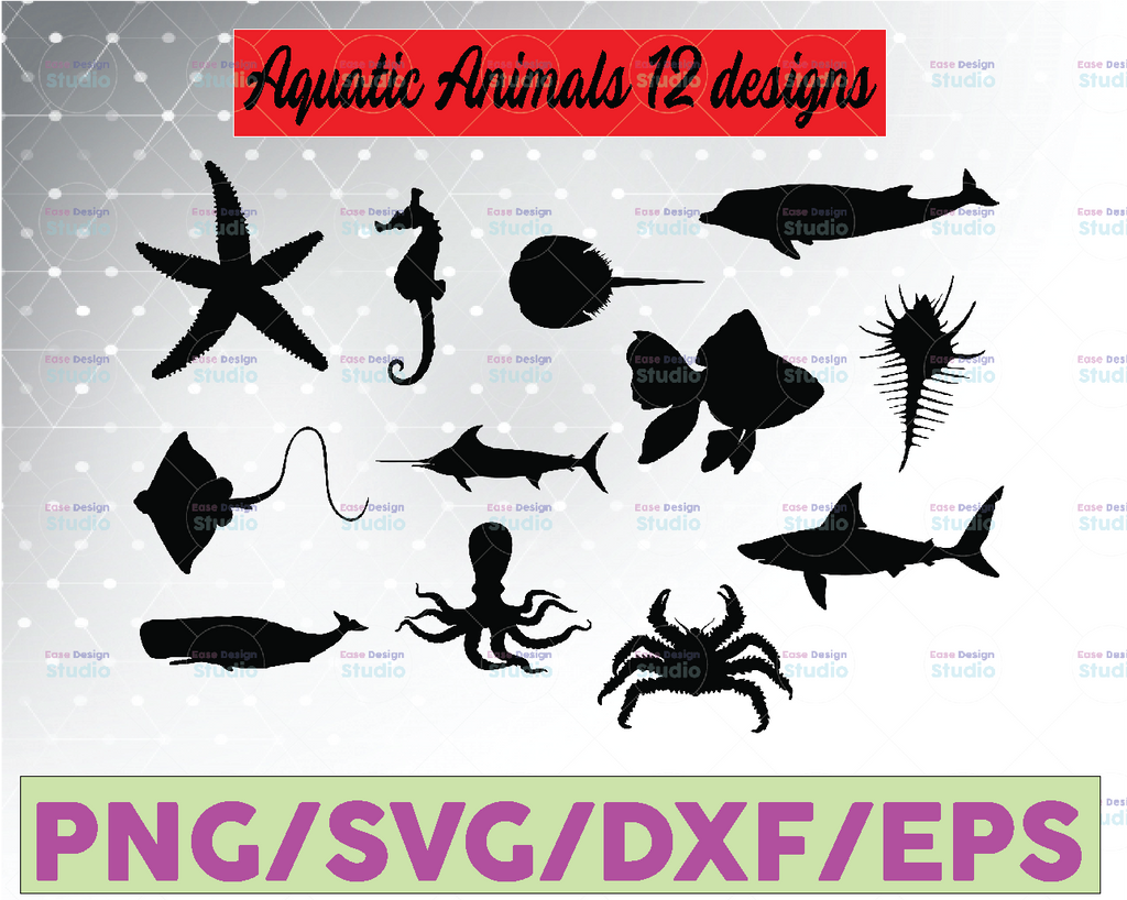 Sea Life Clipart Vector Pack, Ocean Clipart, Sea Animals, Aquatic Animals Clipart, Sea Graphics, Marine Life Clipart, SVG, PNG file