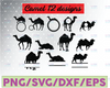 Camel svg file Animal vector Zoo decal for cricut clipart bundle digital download silhouette vinyl stickers monogram images sign pdf eps dxf