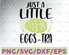 Just a Little Eggstra svg, Easter svg, Easter svg Files, Easter svg Kids, Easter svg Files for Cricut, Easter svg for Women, Easter dxf,png