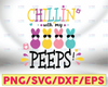Chillin with my peeps SVG-Quarantine Peeps 2021 PNG-Easter Peeps SVG-easter printable iron on-files for Cricut-Files for Silhouette Cameo