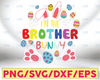 I'm The Brother Bunny Matching Family Easter Svg, Mimi Svg, Bunny Svg, Rabbit Svg, Cute Easter Day, Colorful Easter Egg Svg, Cricut Design