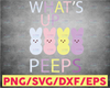What's Up Peeps Happy Easter Family Girl Boy Easter Bunny Svg, Bunny Rainbow Svg, Easter Rabbit Svg, Easter Shirt, Bunny Svg, Cut Files Svg