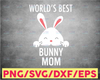 Worlds Best Bunny Mom Svg, Mother Day Svg, Happy Mother Day, Bunny Svg, Mommy Day Svg, Mom Svg, Mom Life Svg, Mother Lovers, Mother Day 2021