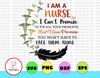 I Am A Nurse I Can't Promise To Fix All Your Problems svg, dxf,eps,png, Digital Download